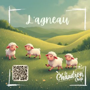 Lire la suite à propos de l’article Agneau