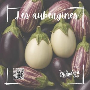 Lire la suite à propos de l’article Aubergines