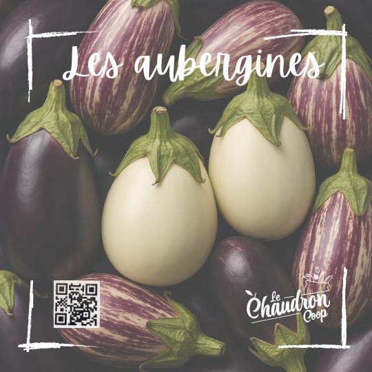 Aubergines