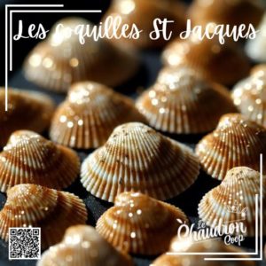 Lire la suite à propos de l’article Coquilles st Jacques